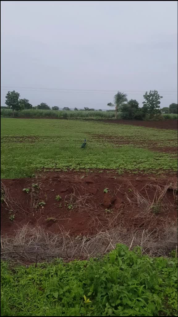 @Arvind meru
