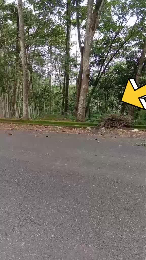 @IPS രാക്ഷസൻ