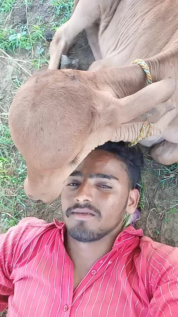 @Sindhav Vijay