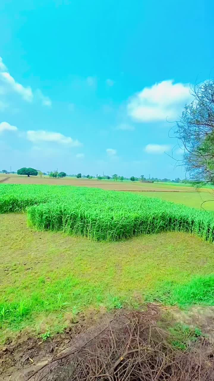 @UMAIR WARRAICH ✌️🥷