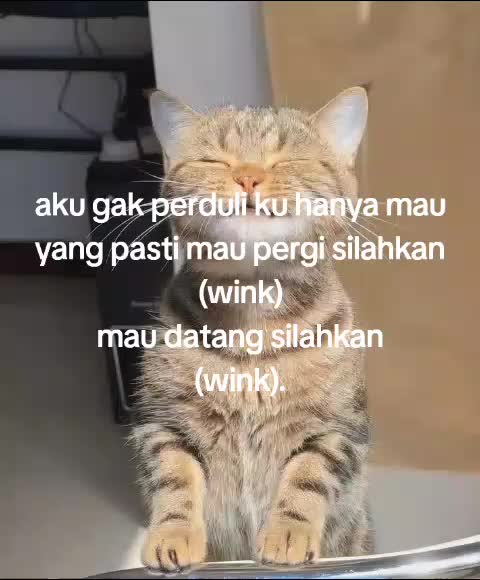 @๐๐๐๐๐๐๐๐.