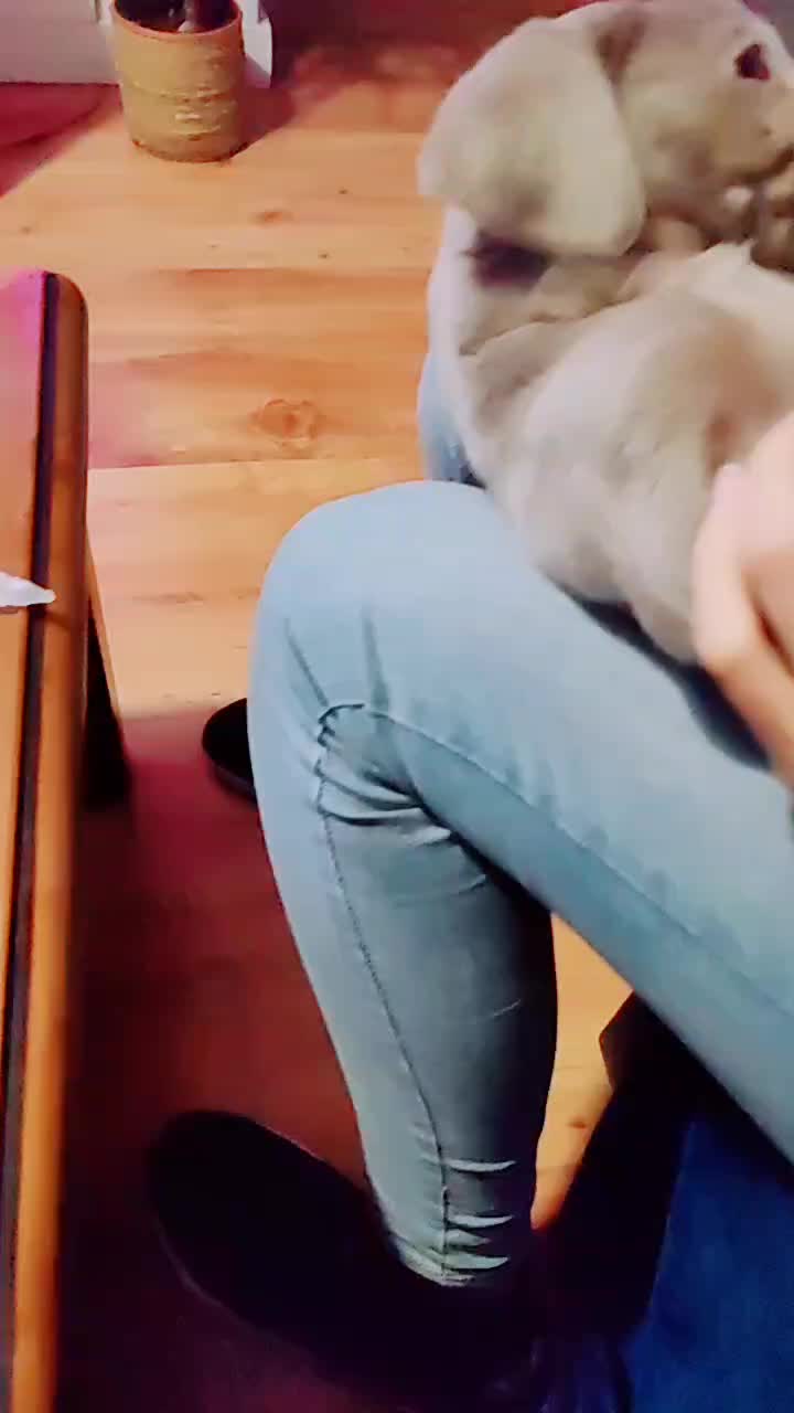 @Kantinflas