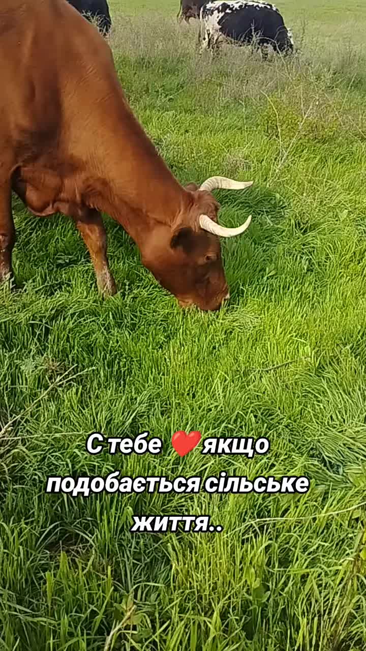 @Марченко Наталья