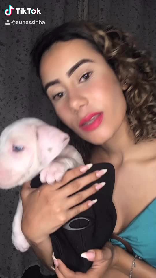 @Bela Pitbull terrier