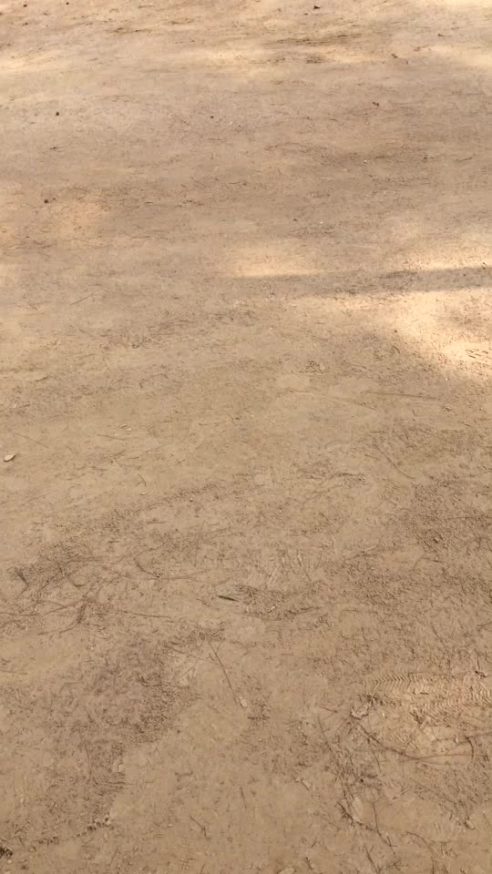 @Akash Sehrawat 🥰
