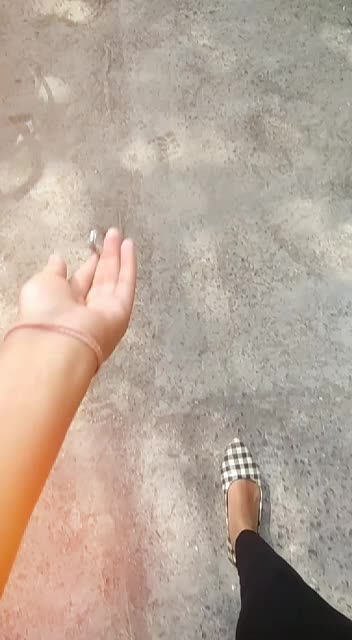 @Diya Mahyavanshi♠️