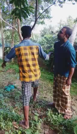 @chikku babu