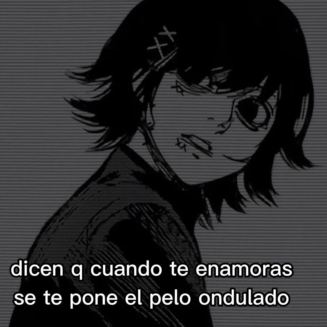 @iaan 🐈🌷