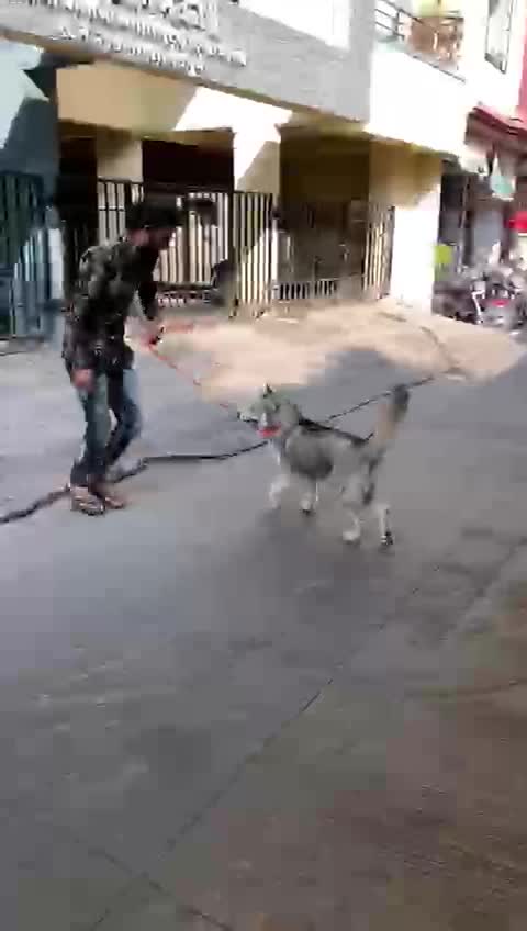 @prakashreddy27