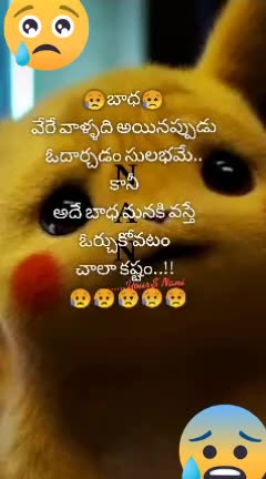 @sravs