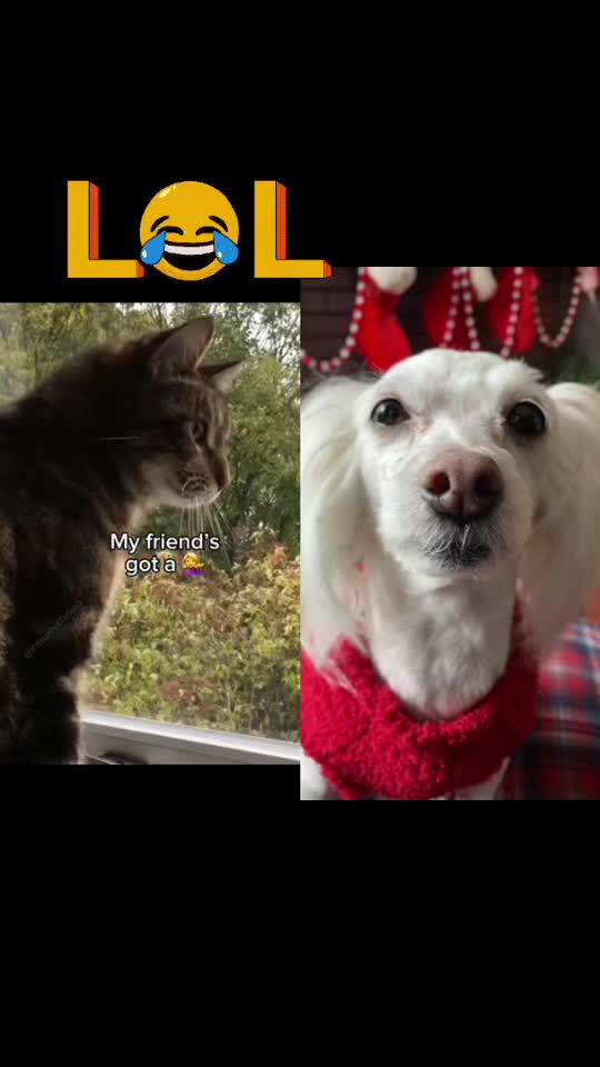 @LillyMae5