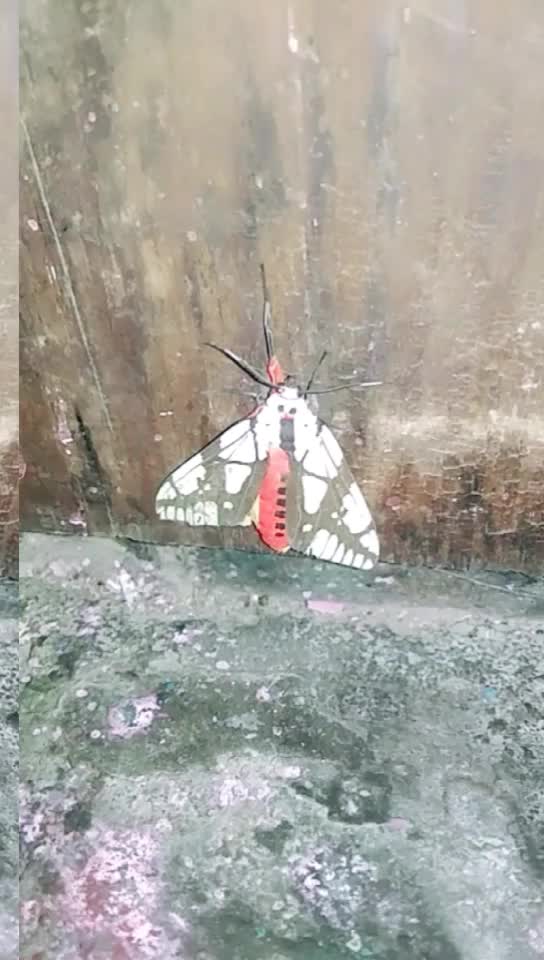 @k.k bhai uk