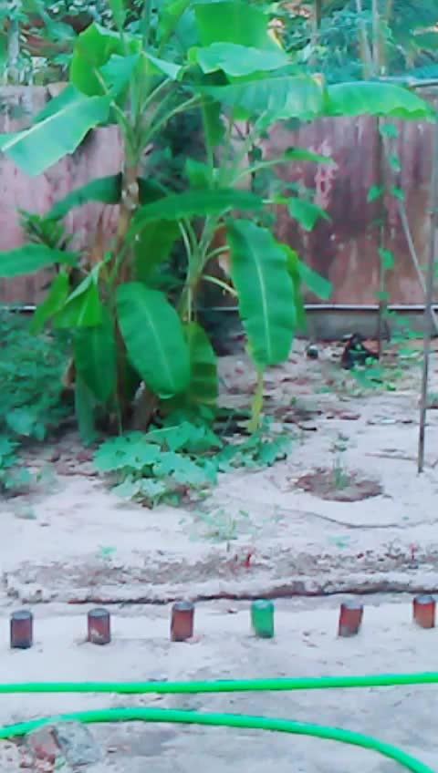 @p_s_y_c_h_o