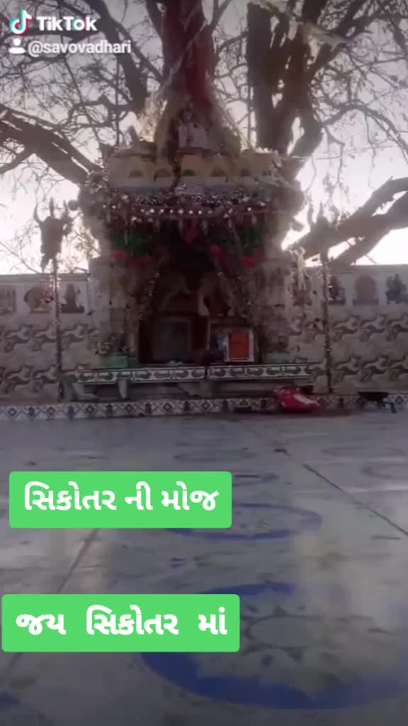 @Savo Vadhari