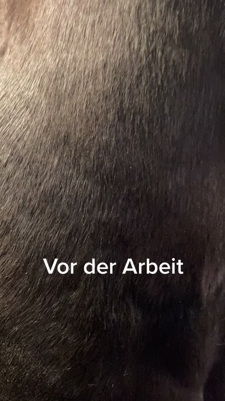 @anna.husung