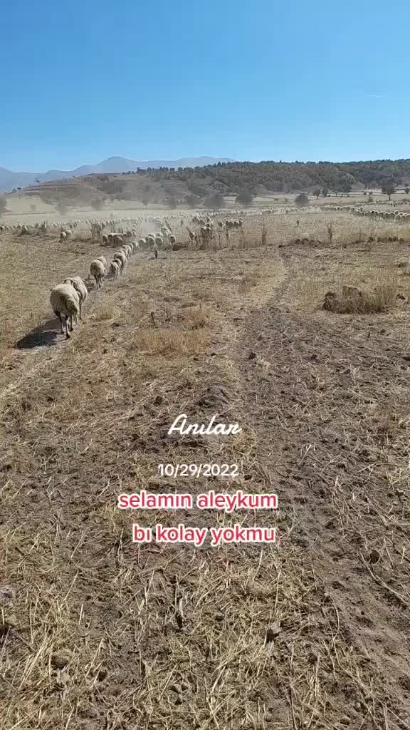 @KAYIP ŞEHİR68