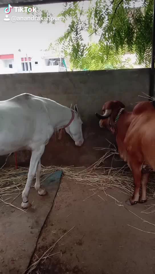 @A.D
