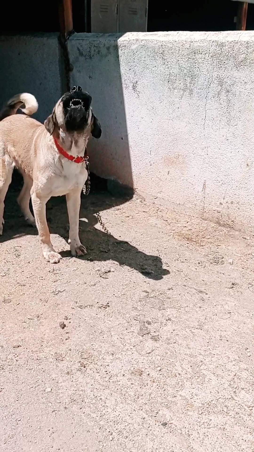 @Hello Bozkır