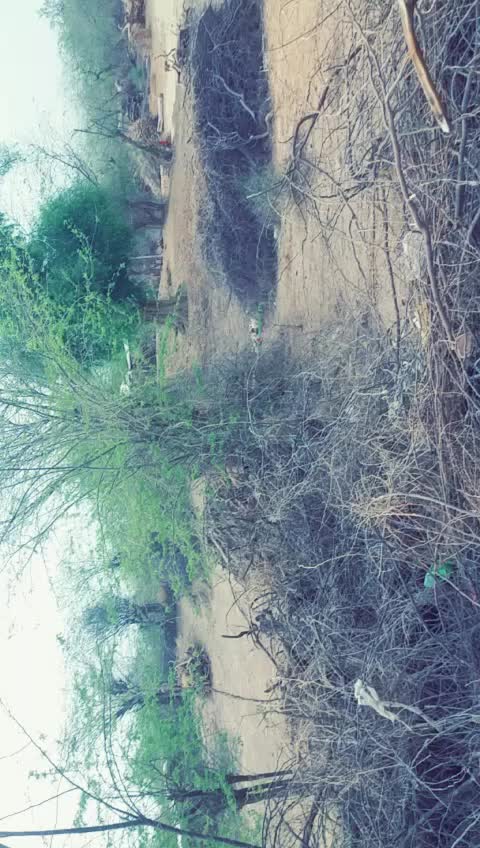 @Krishna Chaudhary