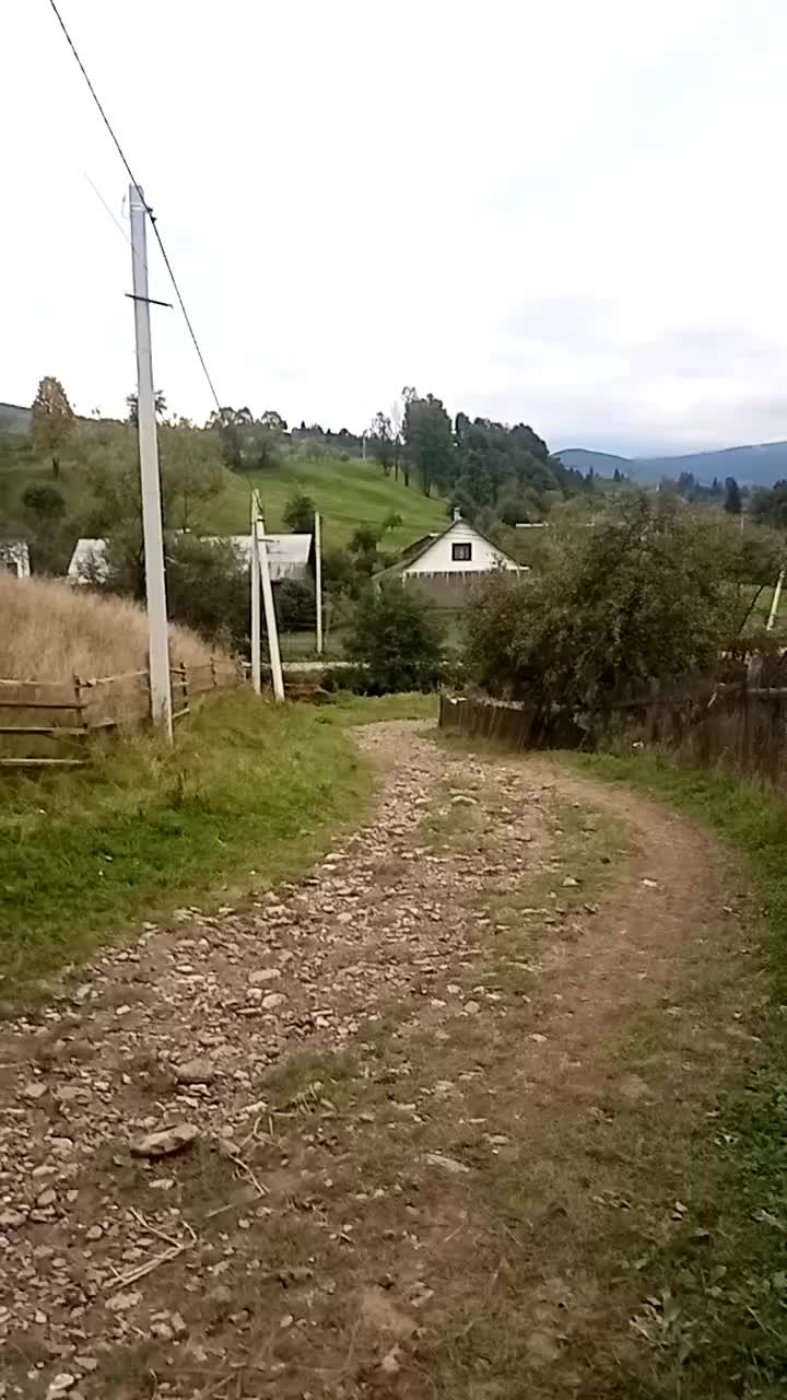 @ЗАКАРПАТТЯ РУЛИТЬ🇺🇦