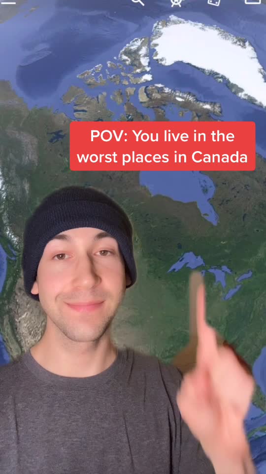 @dailyhivecanada