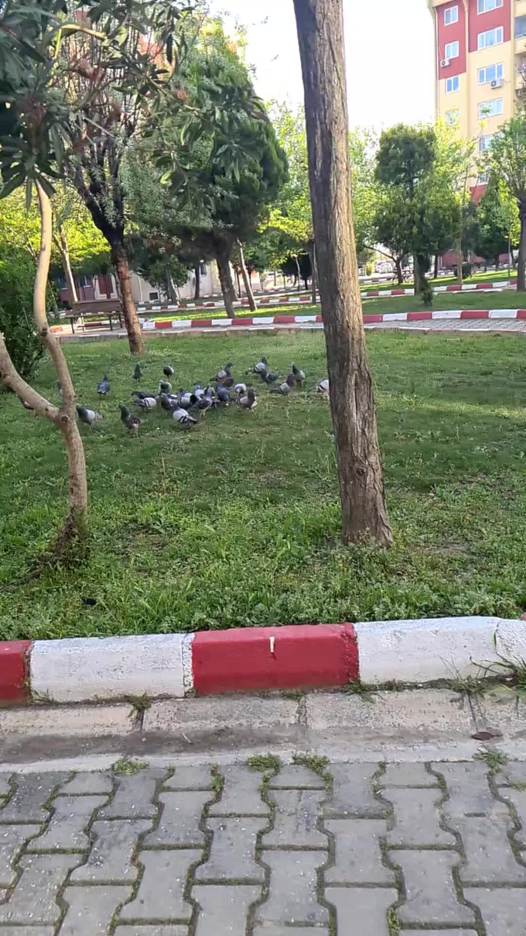 @m.çevik