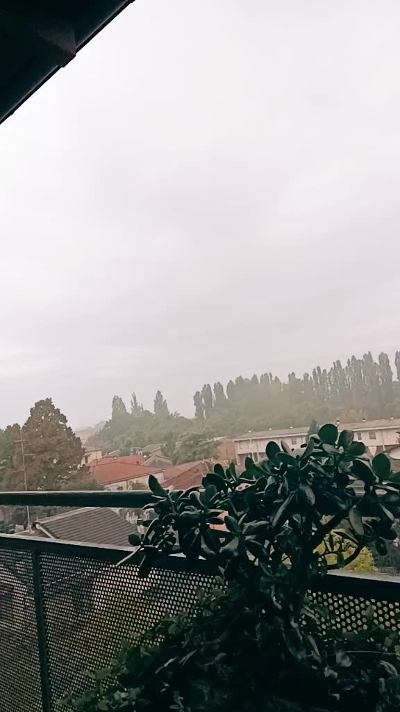 @Elena Boscolo