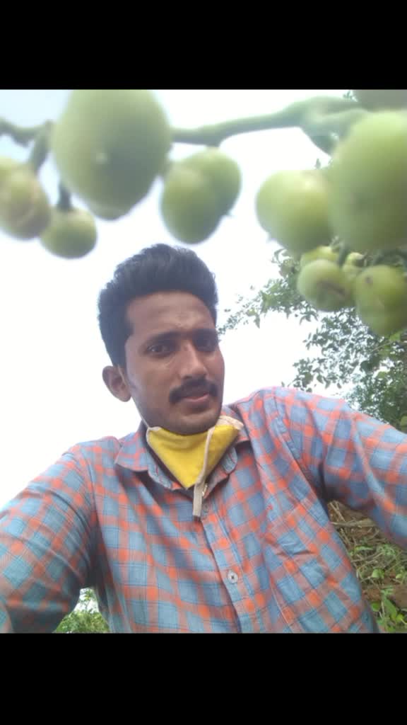 @Siri Reddy