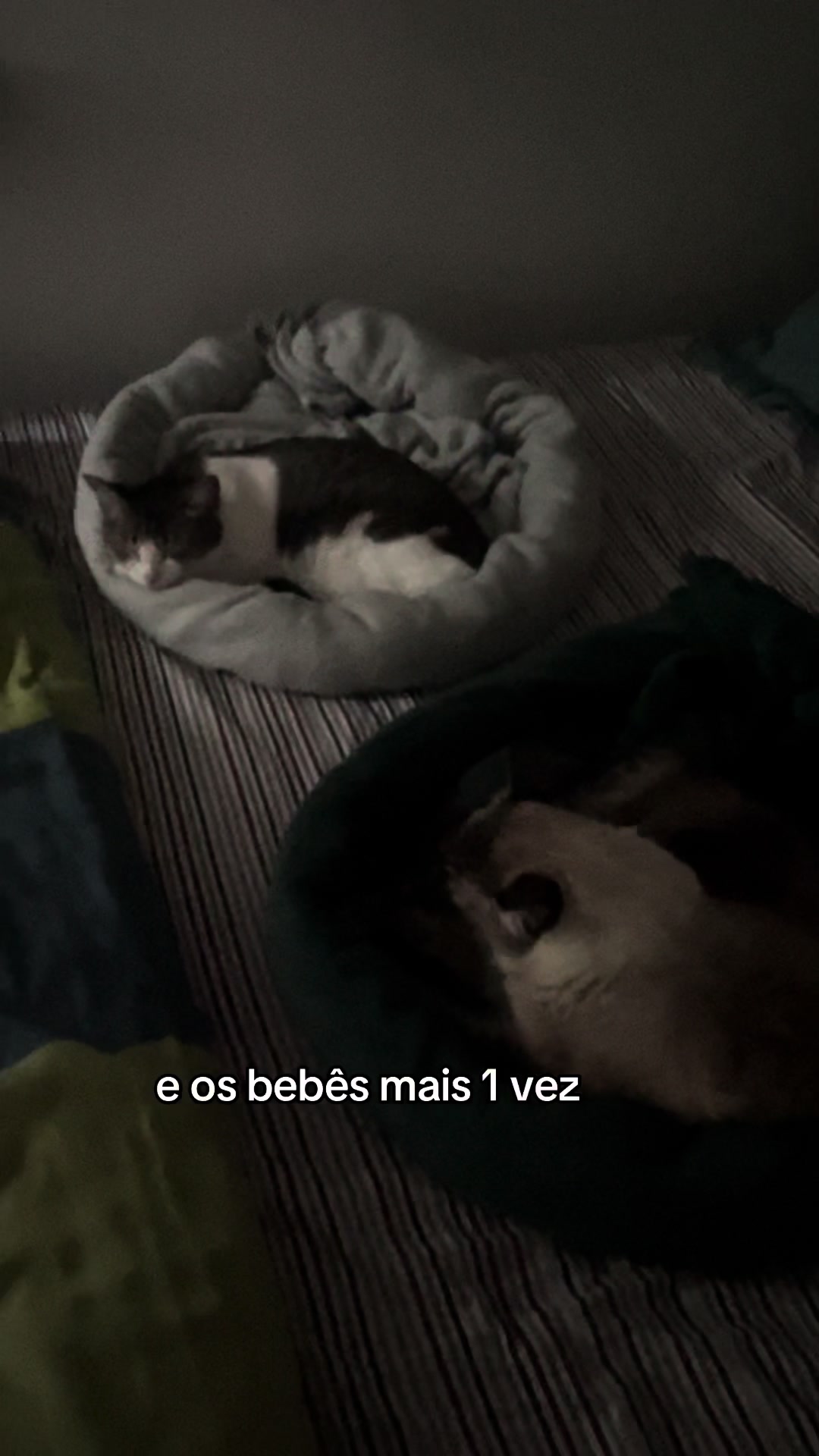 @Brisa&ensp;Maria&ensp;e&ensp;Antonio&ensp;Carlos