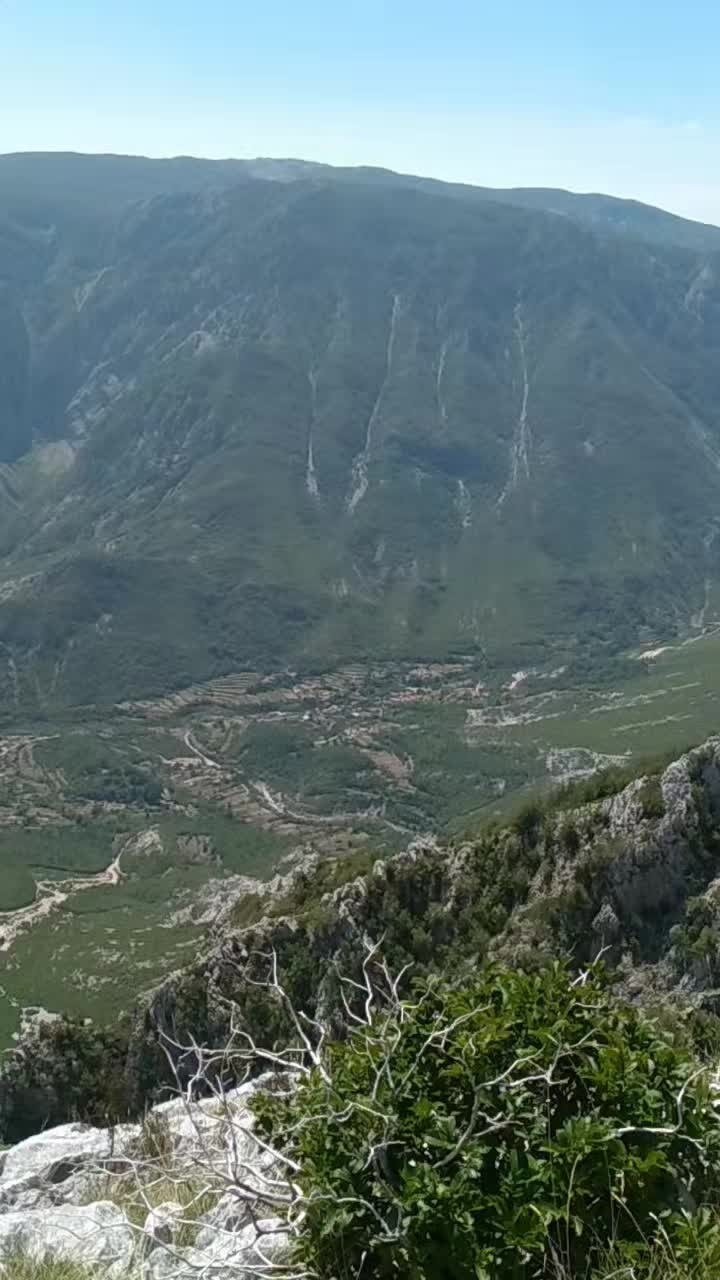 @Drežnica