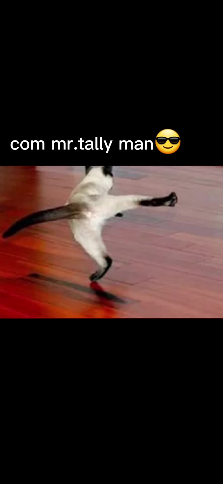 @𝙸𝚖 𝚋𝚊𝚌𝚔!