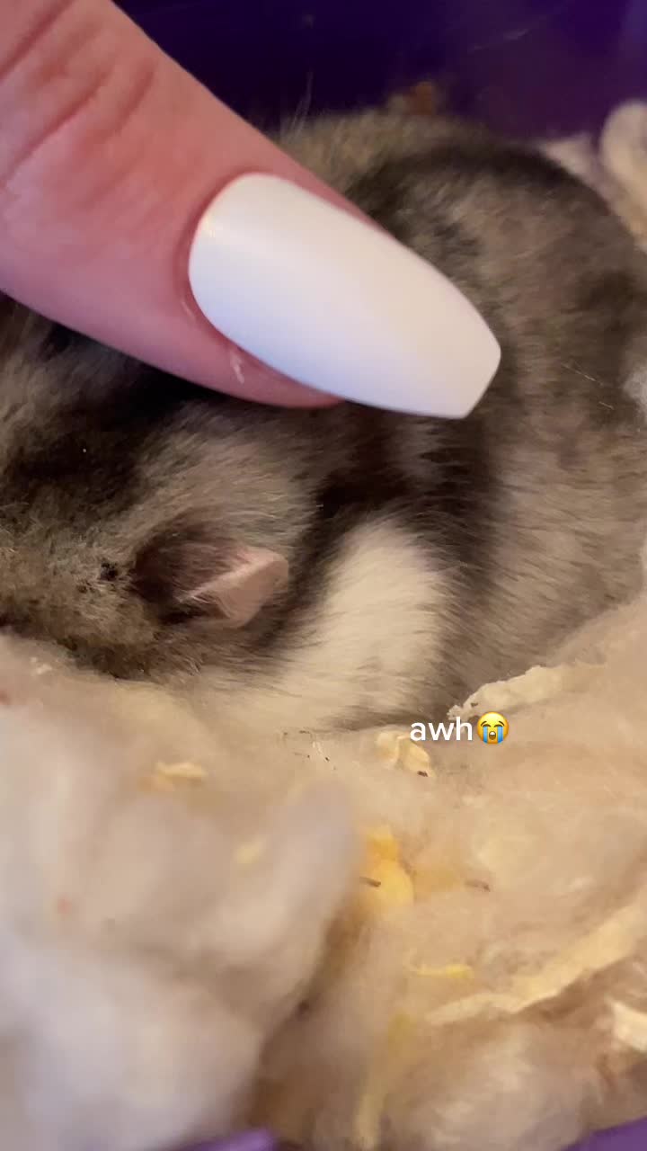 @mabel <3