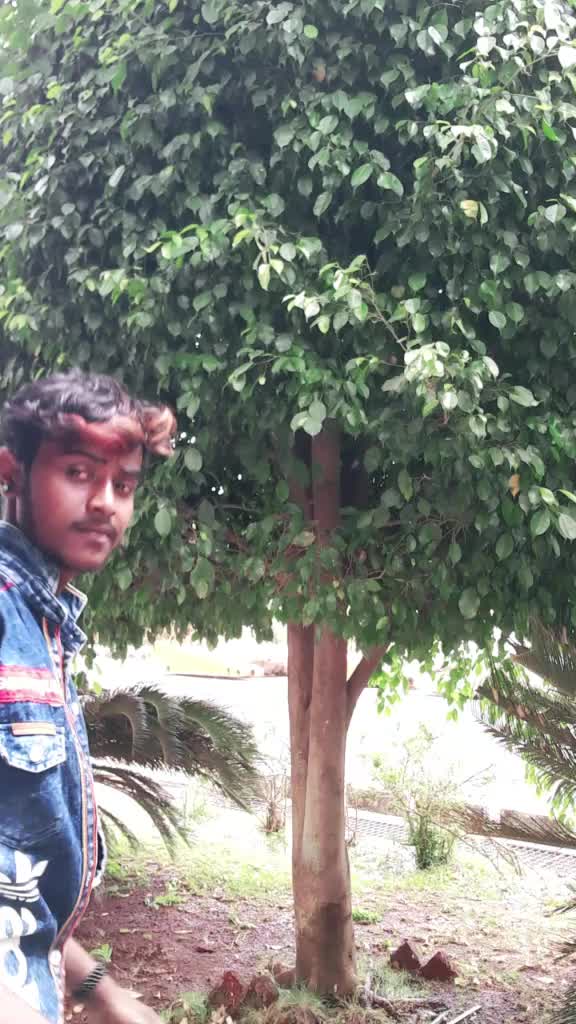 @Omkar553