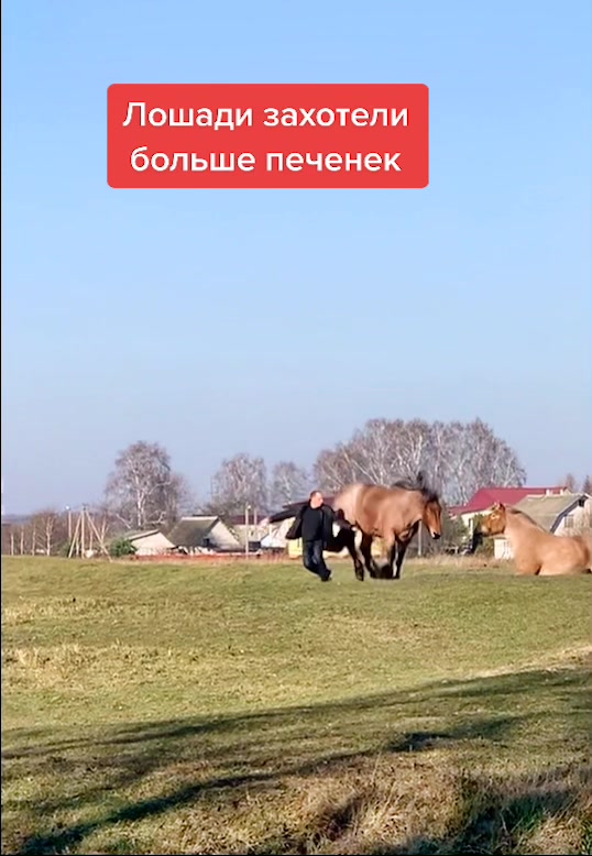 @Минск|ТатьянаХацкевич|Беларусь