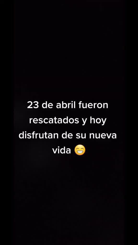 @braiii