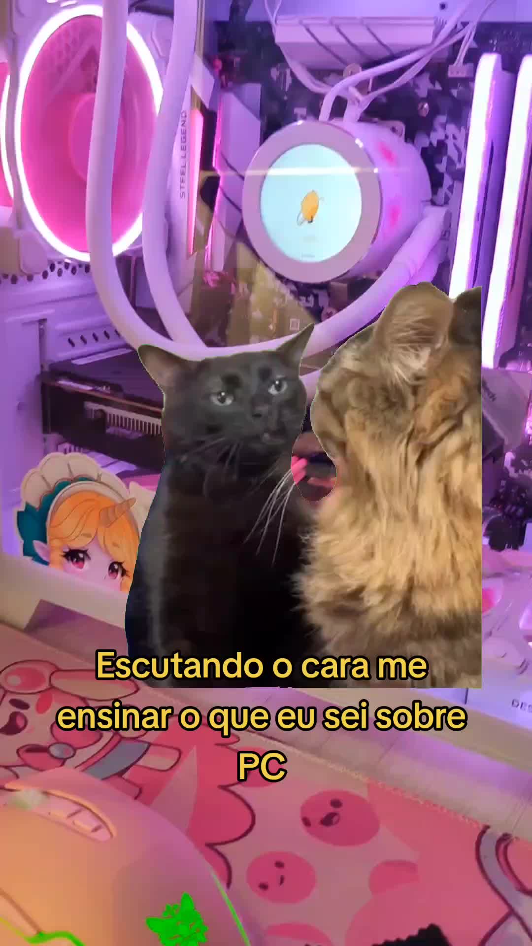 @Luly