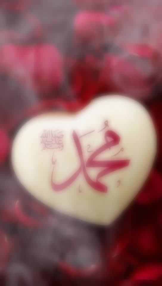 @Ansarulmomin19