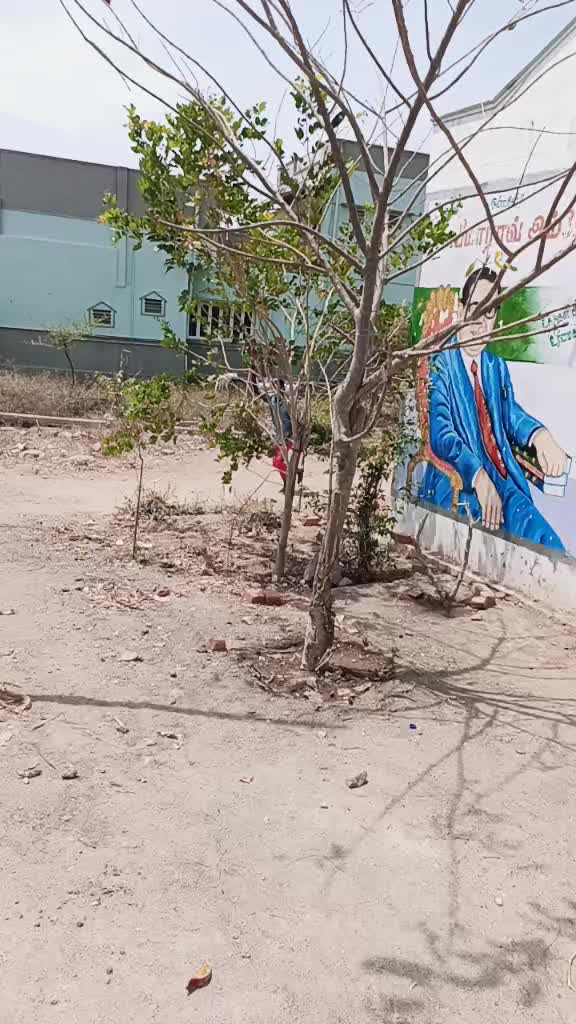 @mani chimbu