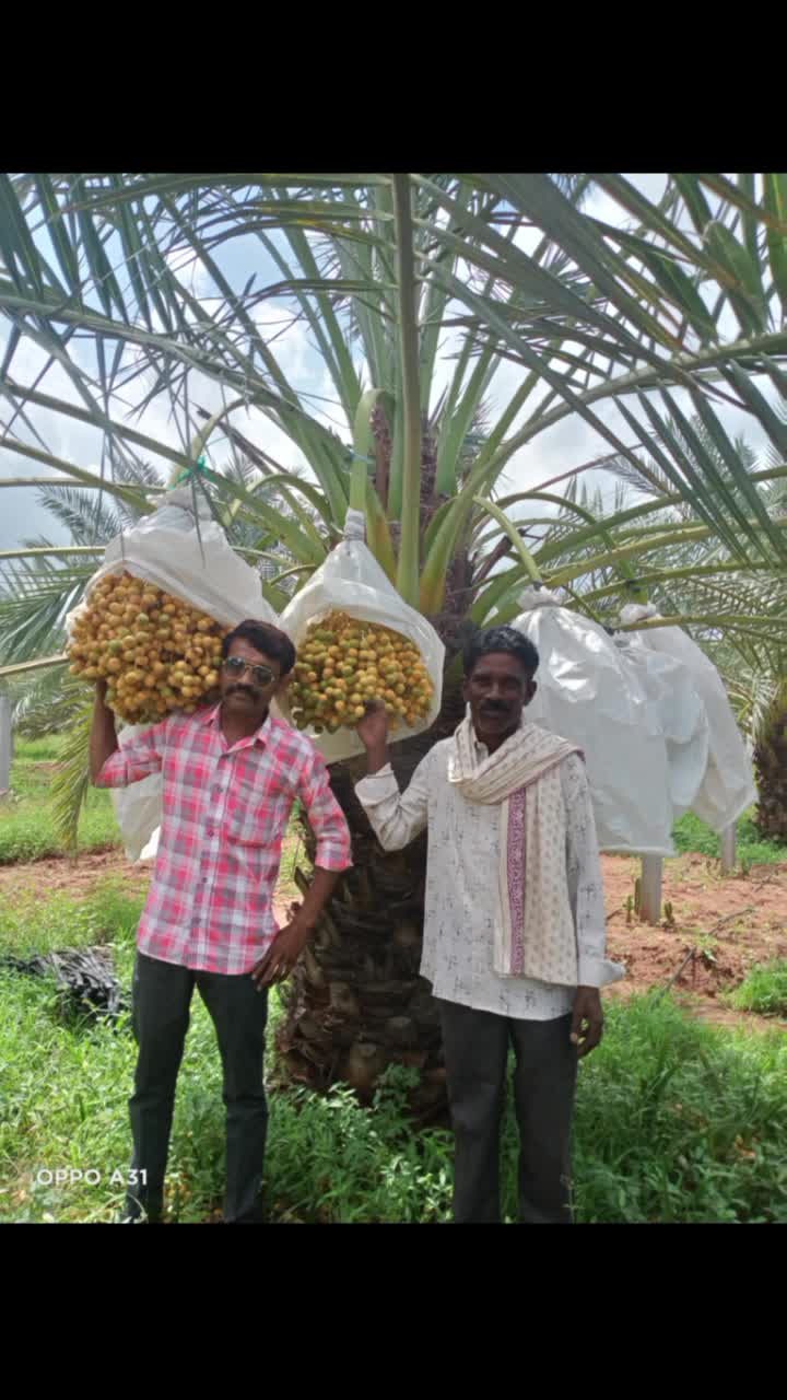 @Baladevji