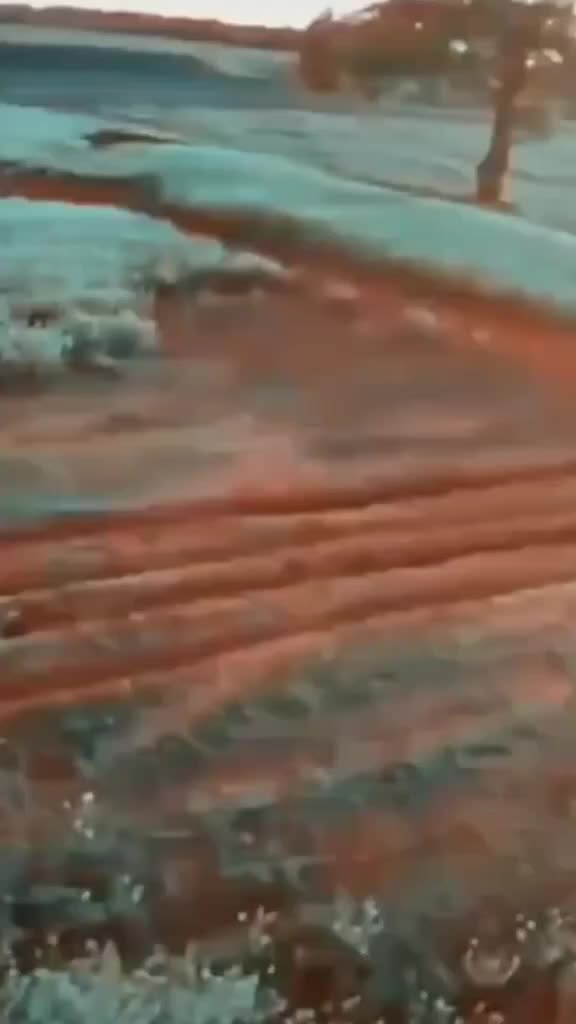 @Gajju🎭