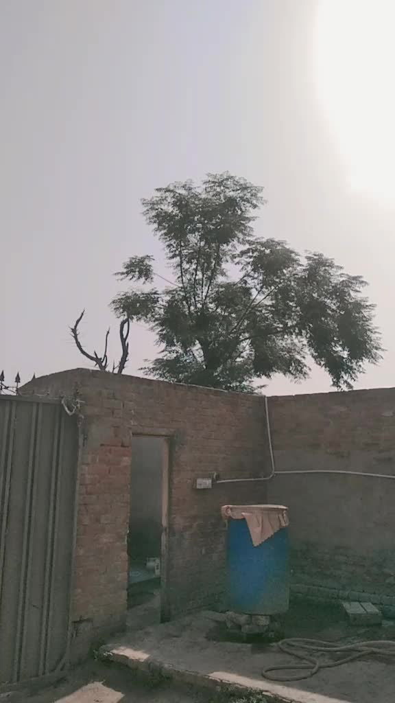 @Bilal shahiwal walia1