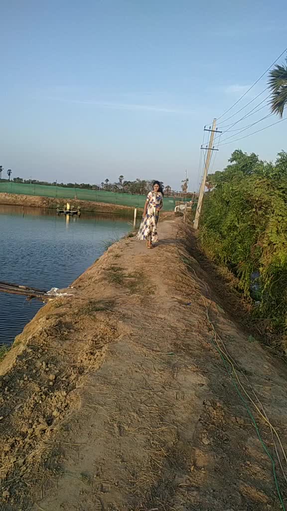 @Pavithra Reddy