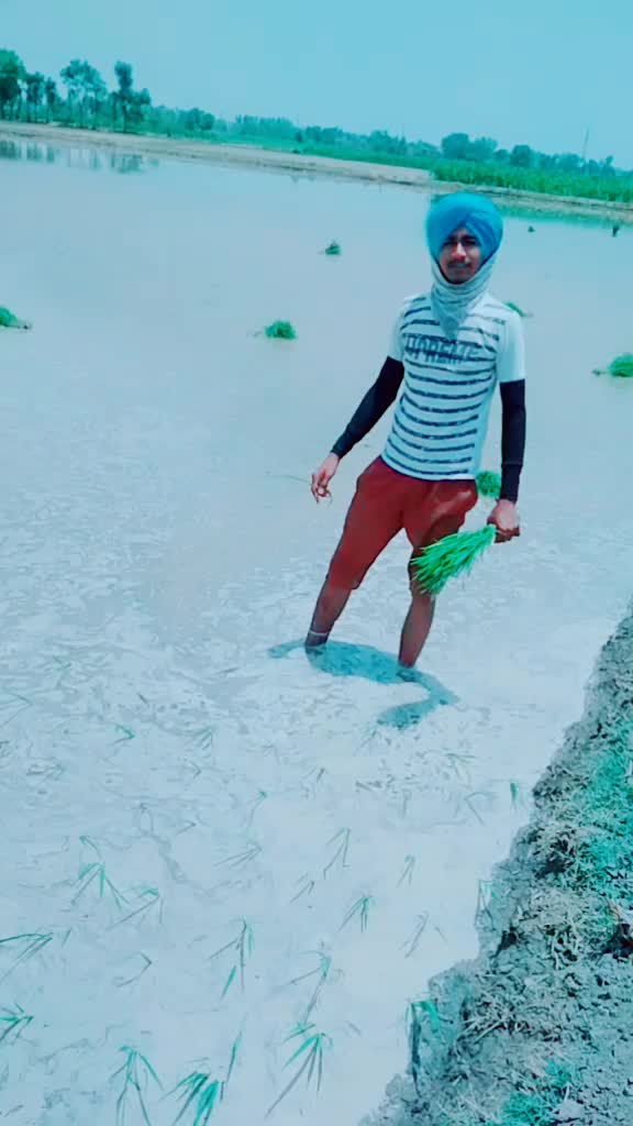 @GurmukhDhaliwalSaab