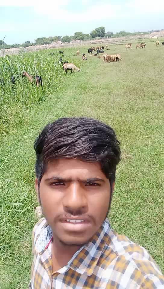 @VaddpalliNareshLaddu