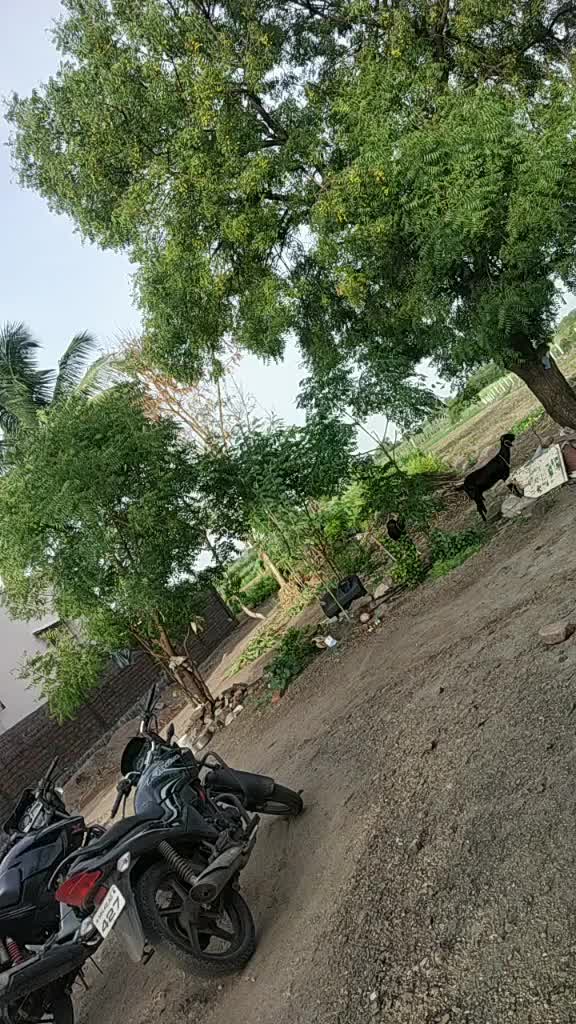 @madhu nagawade 21/25