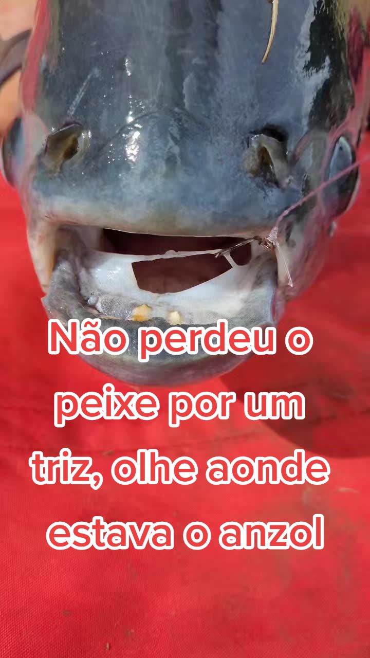 @Renan
