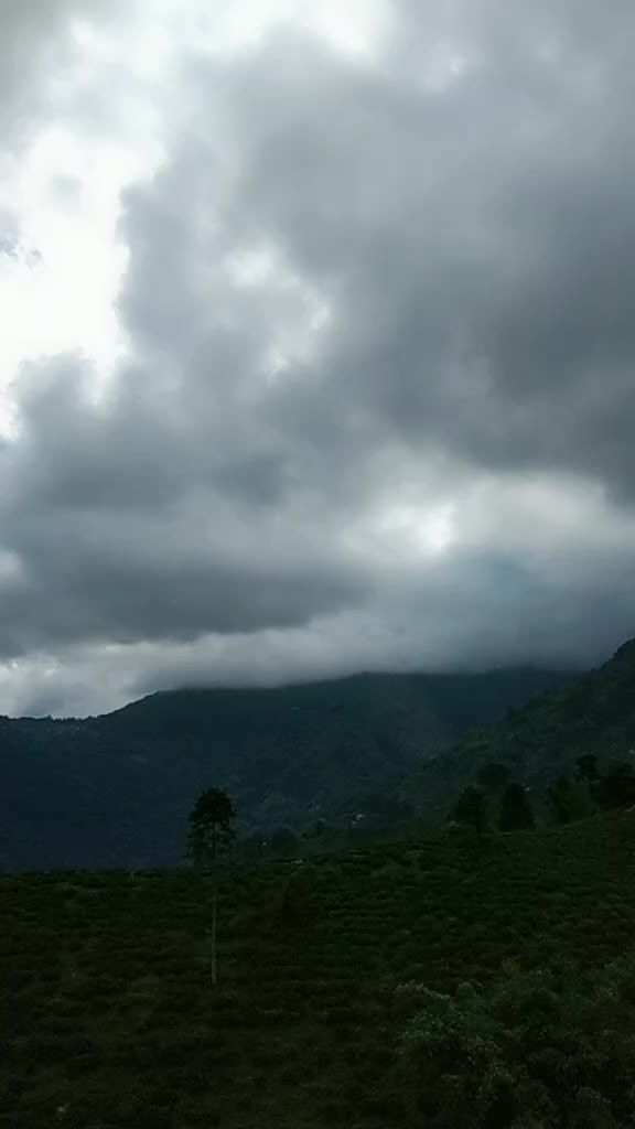 @Nisha pakhrin'z Tamang