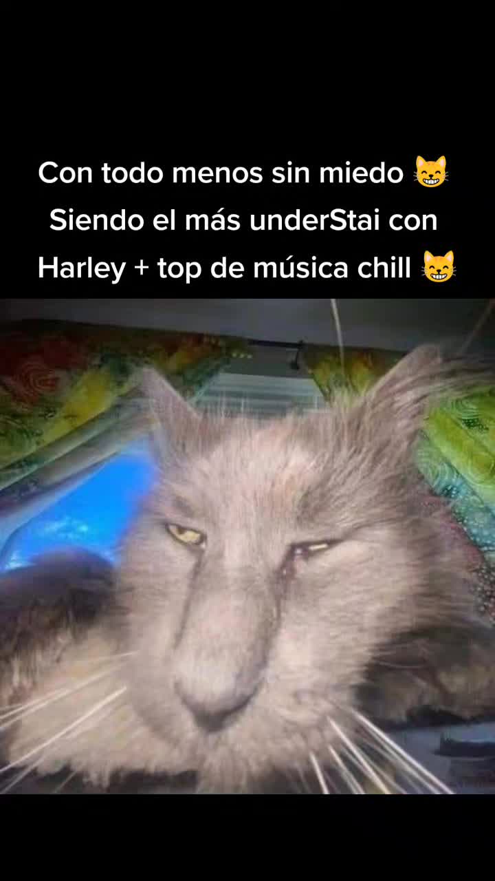 @moonztyle
