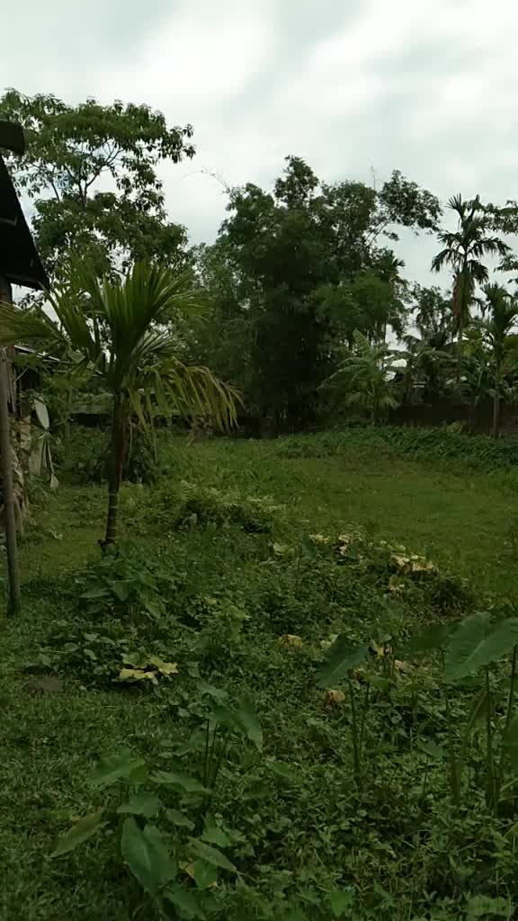 @Ujjal Bora