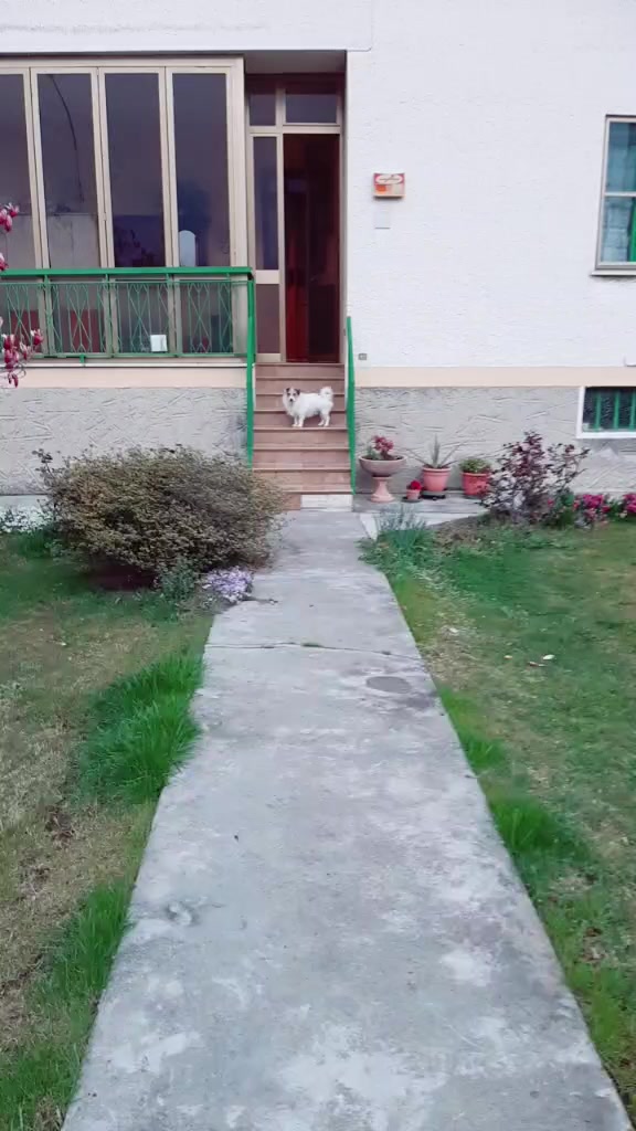 @Serena Di Leo